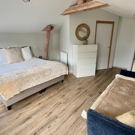 Gaia: Private Near Eurexpo & Airport Villa Genas