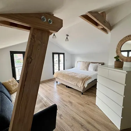 Gaia: Private Near Eurexpo & Airport *
